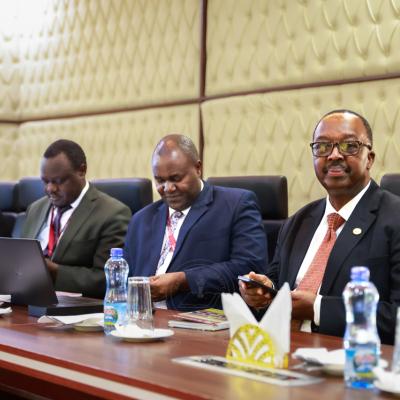 Kabu Cik Mou 14 Kabu Cik Mou 14