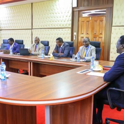 Professor Oluyemisi Adefunke Bamgbose San 7