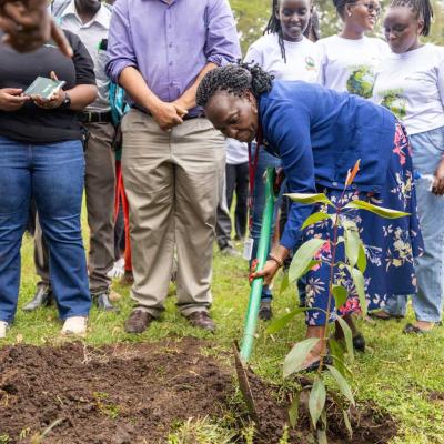 Treeplantingday2025 8