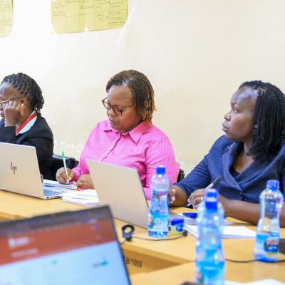 Delt Training 2026 14